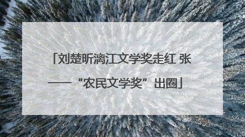 刘楚昕漓江文学奖走红 张一一“农民文学奖”出圈