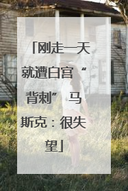刚走一天就遭白宫“背刺” 马斯克：很失望