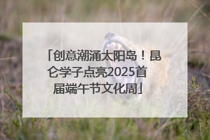 创意潮涌太阳岛！昆仑学子点亮2025首届端午节文化周