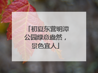 初夏东营明潭公园绿意盎然，景色宜人