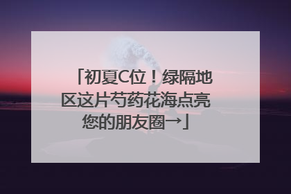 初夏C位！绿隔地区这片芍药花海点亮您的朋友圈→