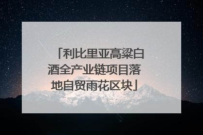 利比里亚高粱白酒全产业链项目落地自贸雨花区块