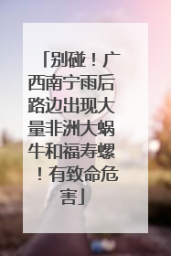 别碰！广西南宁雨后路边出现大量非洲大蜗牛和福寿螺！有致命危害