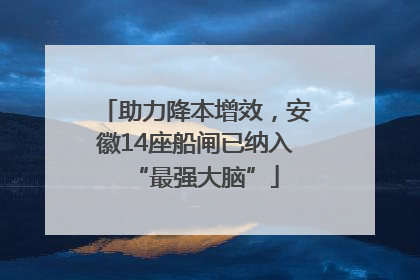 助力降本增效，安徽14座船闸已纳入“最强大脑”