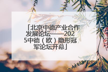 北京中德产业合作发展论坛——2025中德（欧）隐形冠军论坛开幕