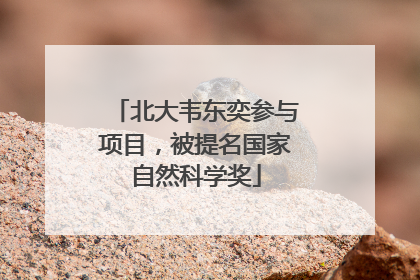 北大韦东奕参与项目，被提名国家自然科学奖