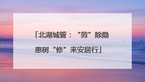 北湖城管：“剪”除隐患树“修”来安居行