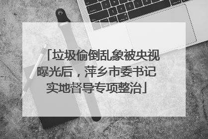 垃圾偷倒乱象被央视曝光后，萍乡市委书记实地督导专项整治