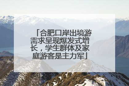合肥口岸出境游需求呈现爆发式增长，学生群体及家庭游客是主力军