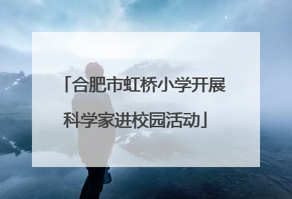 合肥市虹桥小学开展科学家进校园活动