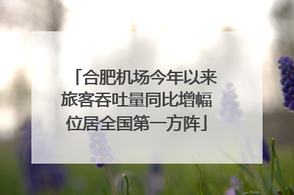 合肥机场今年以来旅客吞吐量同比增幅位居全国第一方阵