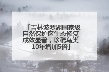 吉林波罗湖国家级自然保护区生态修复成效显著，珍稀鸟类10年增加5倍