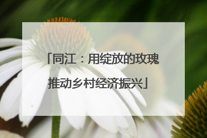 同江：用绽放的玫瑰 推动乡村经济振兴
