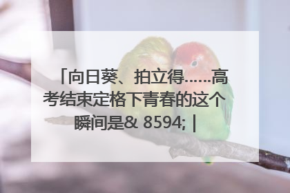 向日葵、拍立得……高考结束定格下青春的这个瞬间是& 8594;｜2025四川高考