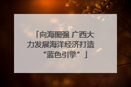 向海图强 广西大力发展海洋经济打造“蓝色引擎”