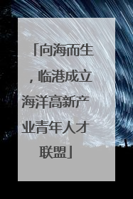 向海而生，临港成立海洋高新产业青年人才联盟