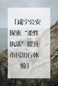 咸宁公安探索“柔性执法”提升市民出行体验