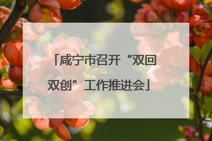 咸宁市召开“双回双创”工作推进会