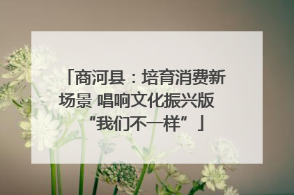 商河县：培育消费新场景 唱响文化振兴版“我们不一样”