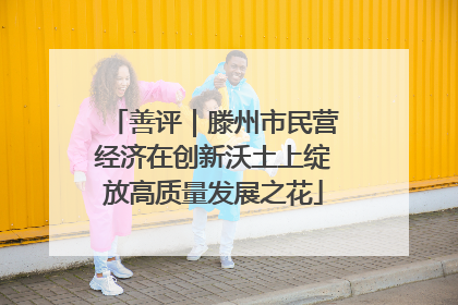 善评｜滕州市民营经济在创新沃土上绽放高质量发展之花