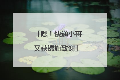 嘿！快递小哥又获锦旗致谢