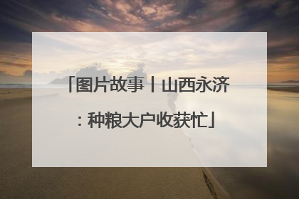 图片故事丨山西永济：种粮大户收获忙