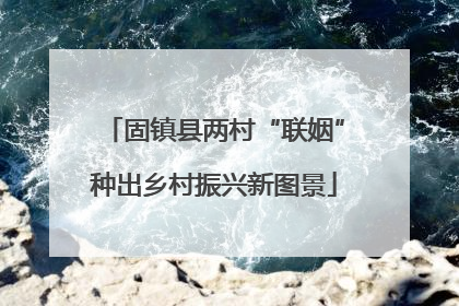 固镇县两村“联姻”种出乡村振兴新图景