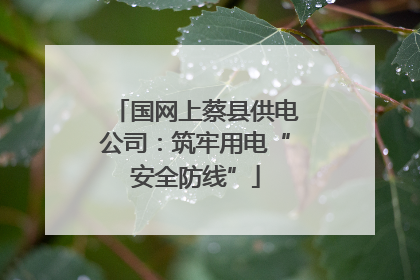 国网上蔡县供电公司：筑牢用电“安全防线”