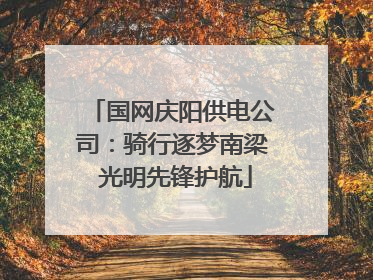 国网庆阳供电公司：骑行逐梦南梁 光明先锋护航