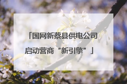 国网新蔡县供电公司启动营商“新引擎”