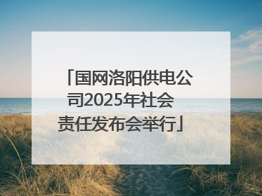 国网洛阳供电公司2025年社会责任发布会举行