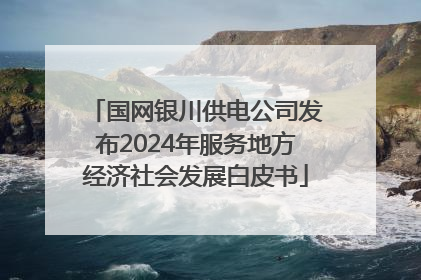 国网银川供电公司发布2024年服务地方经济社会发展白皮书