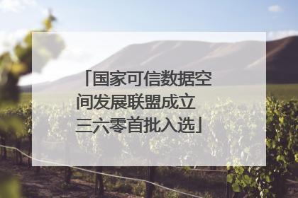 国家可信数据空间发展联盟成立 三六零首批入选