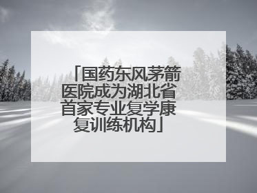 国药东风茅箭医院成为湖北省首家专业复学康复训练机构