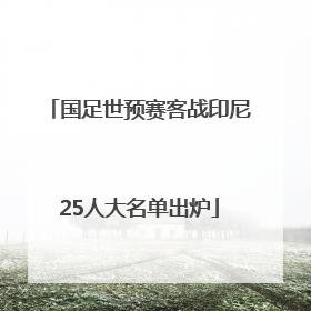 国足世预赛客战印尼25人大名单出炉