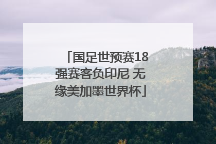 国足世预赛18强赛客负印尼 无缘美加墨世界杯