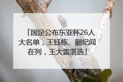 国足公布东亚杯26人大名单，王钰栋、蒯纪闻在列，王大雷落选