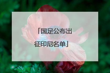 国足公布出征印尼名单