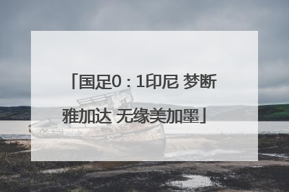国足0∶1印尼 梦断雅加达 无缘美加墨