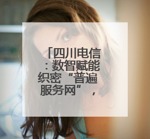 四川电信：数智赋能织密“普遍服务网”，绘就巴蜀新画卷
