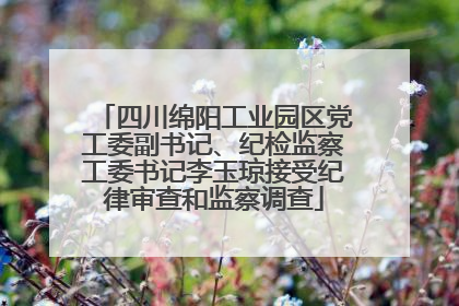四川绵阳工业园区党工委副书记、纪检监察工委书记李玉琼接受纪律审查和监察调查