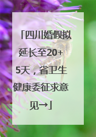四川婚假拟延长至20+5天，省卫生健康委征求意见→