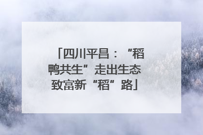 四川平昌：“稻鸭共生”走出生态致富新“稻”路