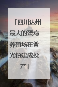 四川达州最大的蛋鸡养殖场在普光镇建成投产