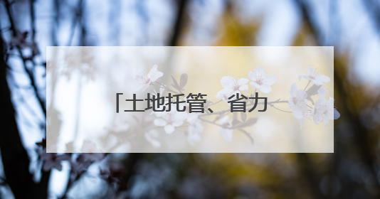 土地托管、省力又增产！获嘉县依托社会化服务助力粮食增产增收