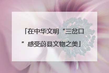 在中华文明“三岔口”感受蔚县文物之美