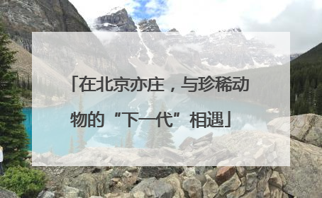在北京亦庄，与珍稀动物的“下一代”相遇