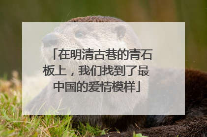 在明清古巷的青石板上，我们找到了最中国的爱情模样