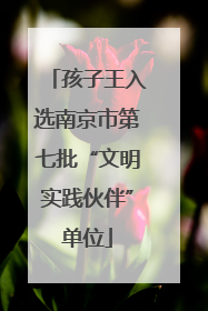 孩子王入选南京市第七批“文明实践伙伴”单位