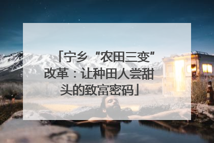 宁乡“农田三变”改革：让种田人尝甜头的致富密码